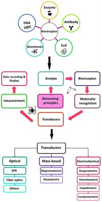 Toward waterborne protozoa detection using sensing technologies
